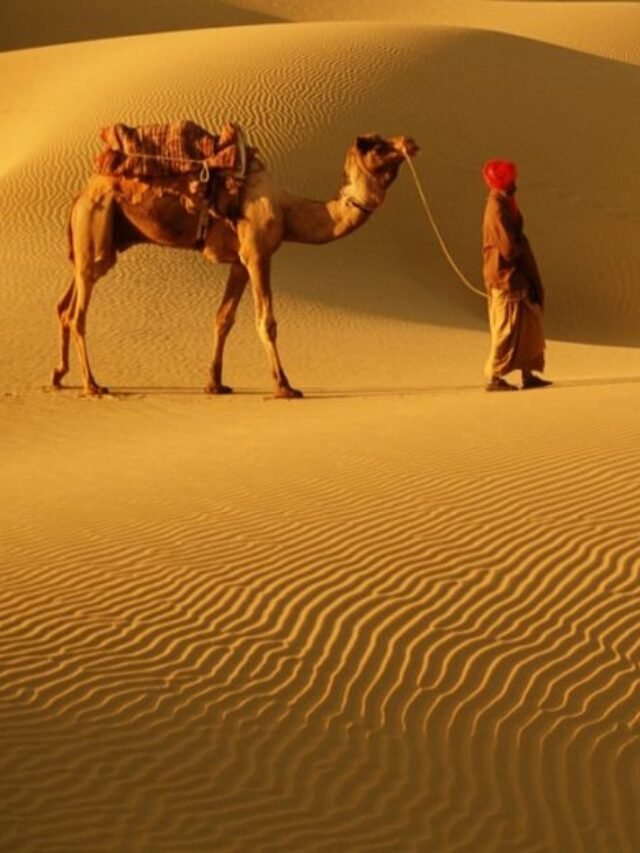 Best Places to Visit in Jaisalmer (Golden City)