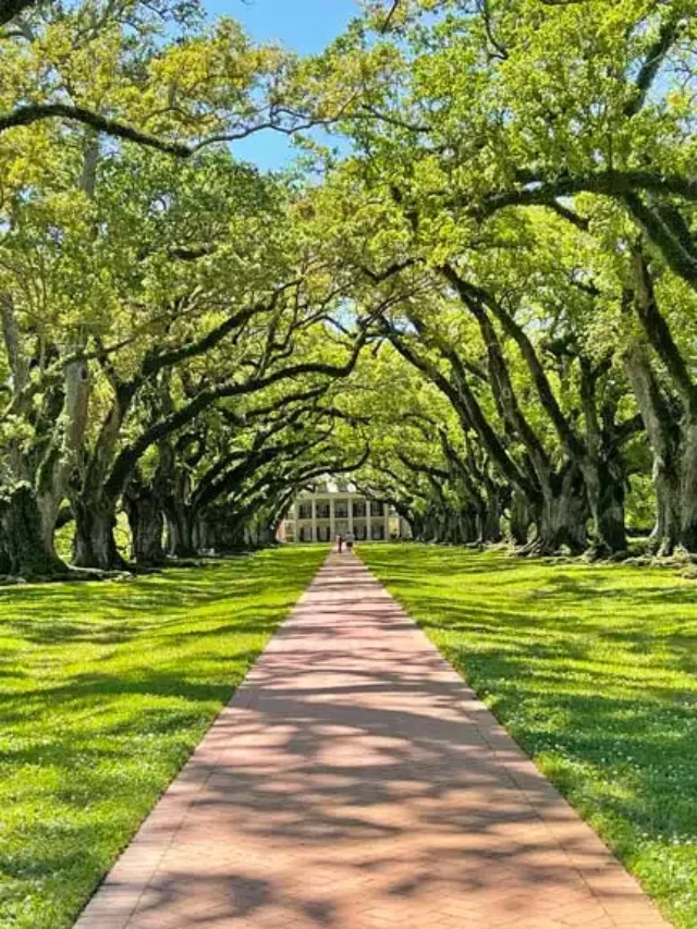 10 Best Places to Visit in Louisiana, US